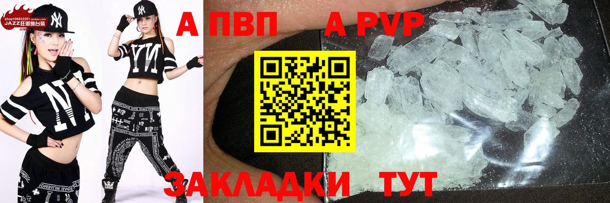 Альфа ПВП СК Оренбург